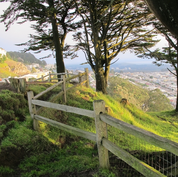 Meet your Posher Elena - Picture 3 of 4